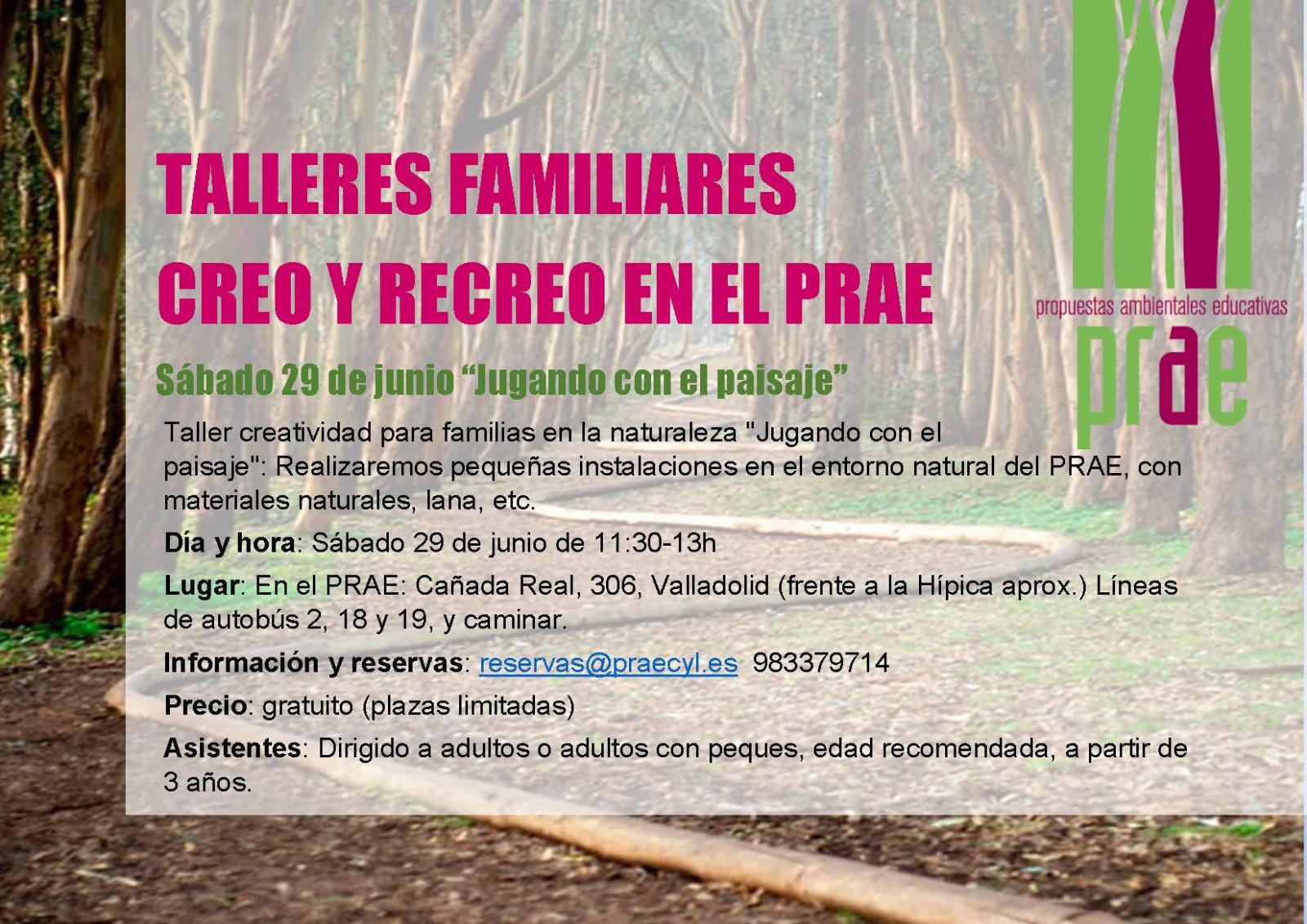 Taller de creatividad en familia